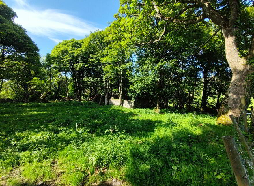 Derelict Cottage, C. 24.66 Acres, Springfield, Tamney, F92H308
