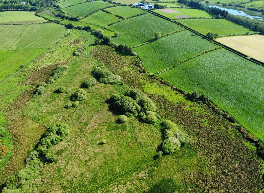 Derelict Cottage, C. 24.66 Acres, Springfield, Tamney, F92H308