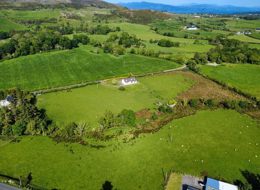 Derelict Cottage, C. 24.66 Acres, Springfield, Tamney, F92H308