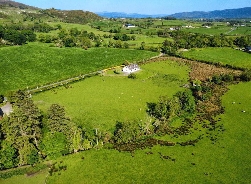 Derelict Cottage, C. 24.66 Acres, Springfield, Tamney, F92H308