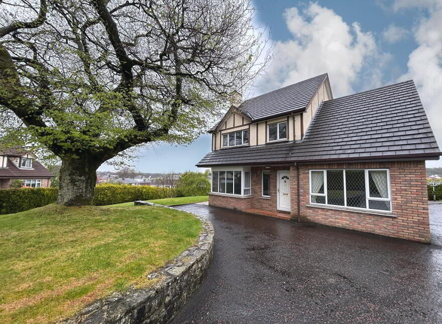 6 Knocksilla Rise, Omagh, BT79 0BY