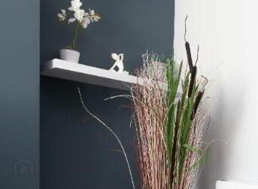 Apt 2, 45 Camden Street, Belfast, BT9 6AT