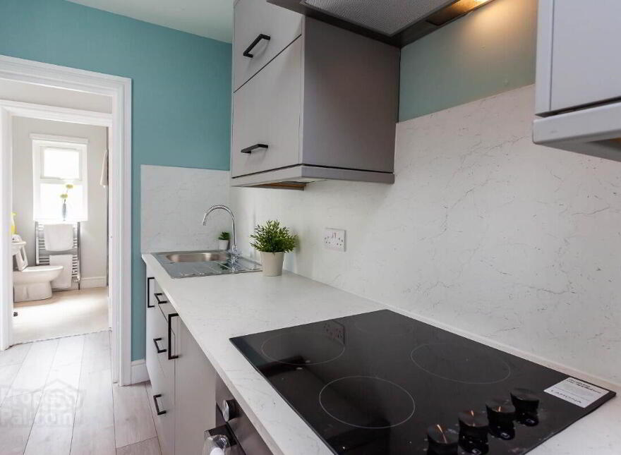 Apt 2, 45 Camden Street, Belfast, BT9 6AT