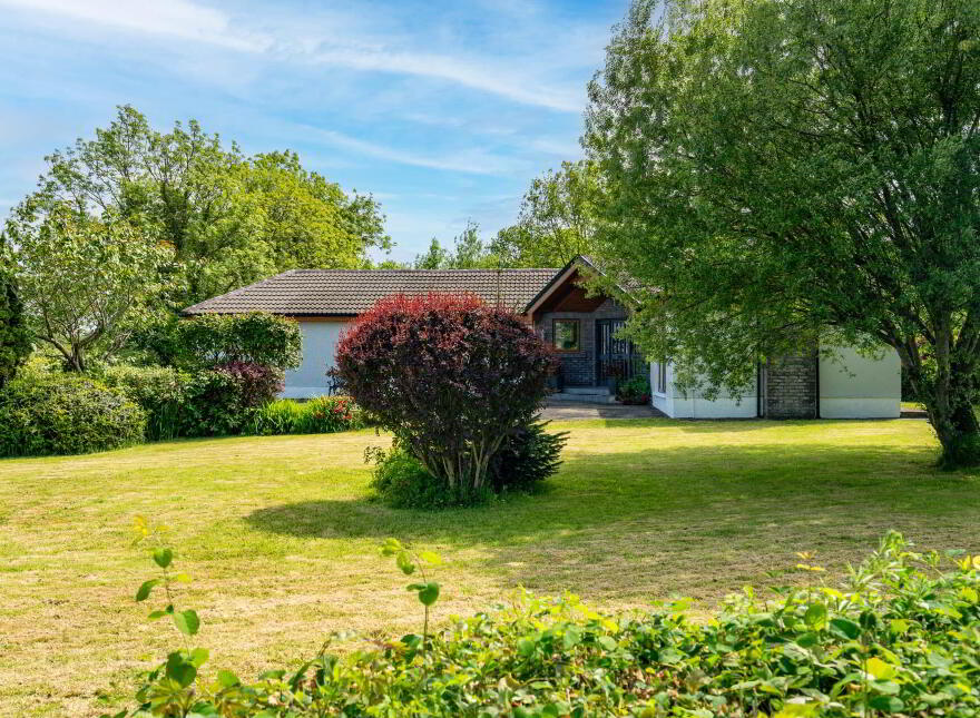 Drumleene, Ballindrait, Lifford, F93KW2P