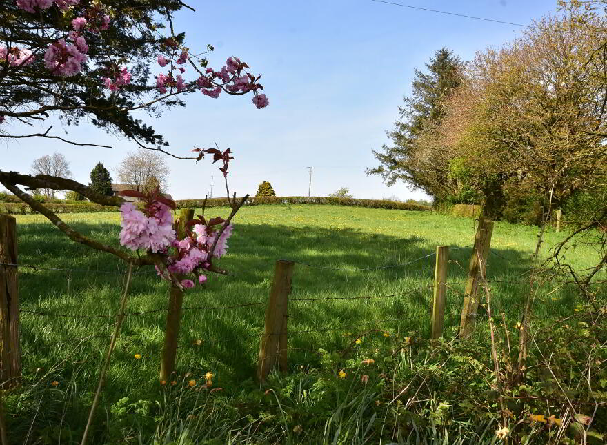 Development Site, 63 Old Cullybackey Road, Cullybackey