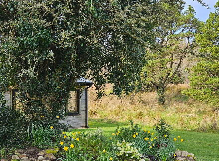 Ballyformoyle, Keadue, Boyle, F52Y172