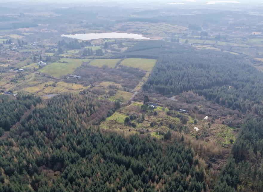 Ballyformoyle, Keadue, Boyle, F52Y172