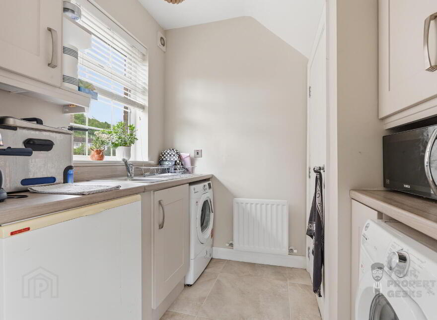 17 Moss Lane, Ballynahinch, BT24 8FE