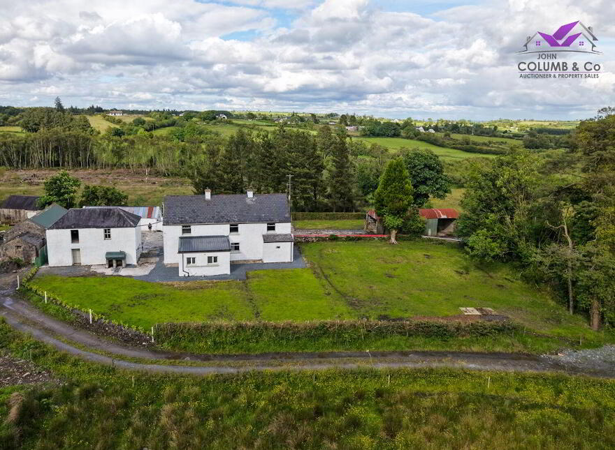 Corrinagh, Aughnacliffe, Aughnacliffe, N39P272
