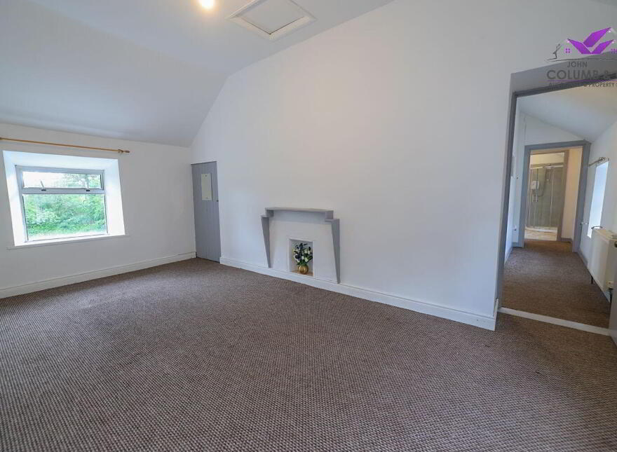 Corrinagh, Aughnacliffe, Aughnacliffe, N39P272