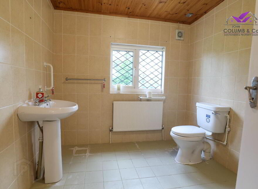 Corrinagh, Aughnacliffe, Aughnacliffe, N39P272
