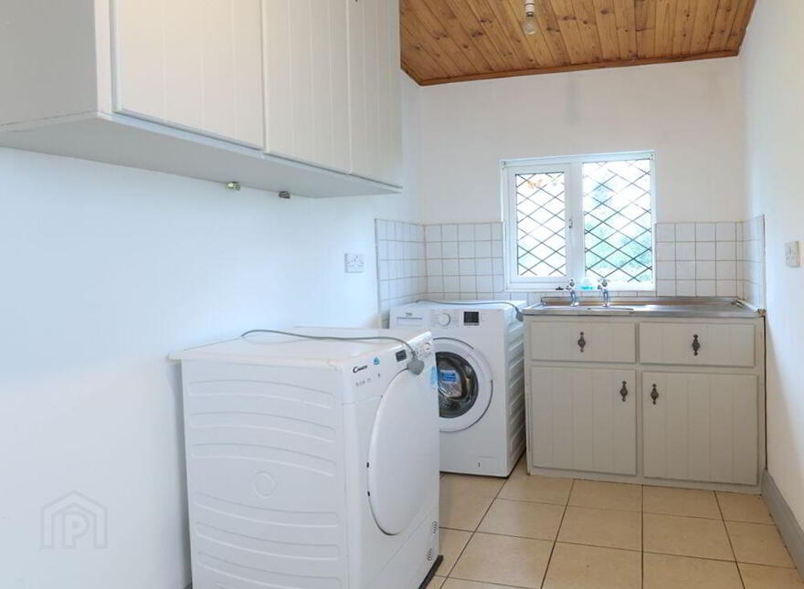 Corrinagh, Aughnacliffe, Aughnacliffe, N39P272