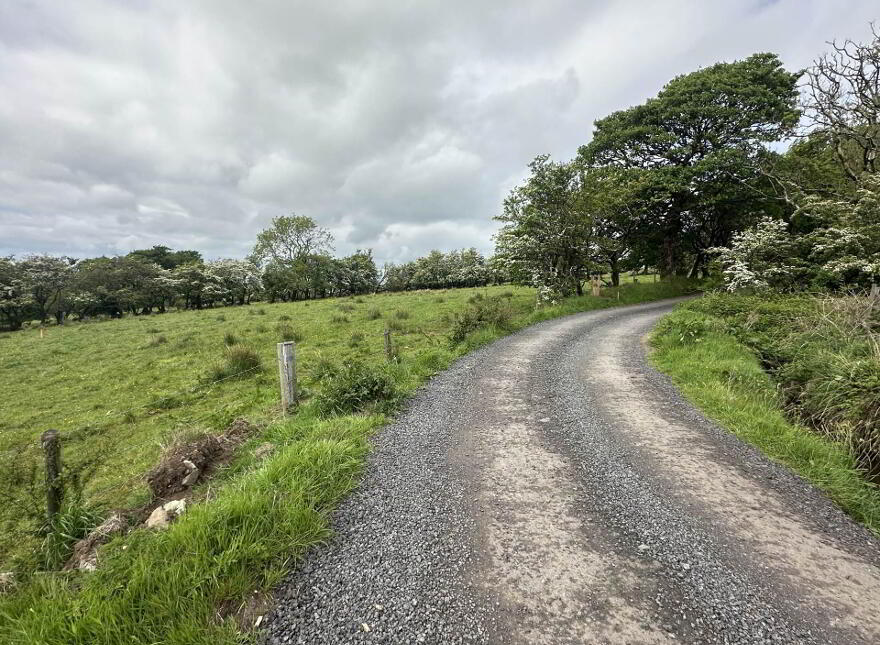 Plot, Of Land North Of Divis Road, Belfast, BT17 0NG