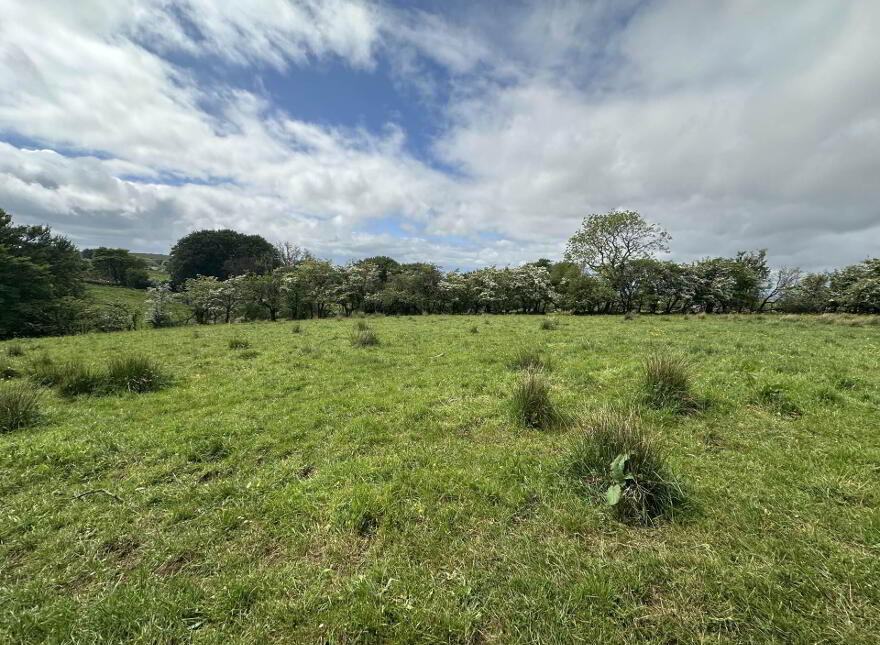Plot, Of Land North Of Divis Road, Belfast, BT17 0NG