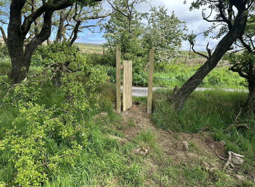 Plot, Of Land North Of Divis Road, Belfast, BT17 0NG