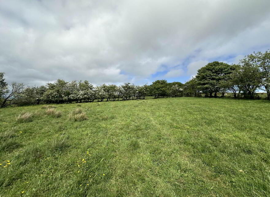 Plot, Of Land North Of Divis Road, Belfast, BT17 0NG