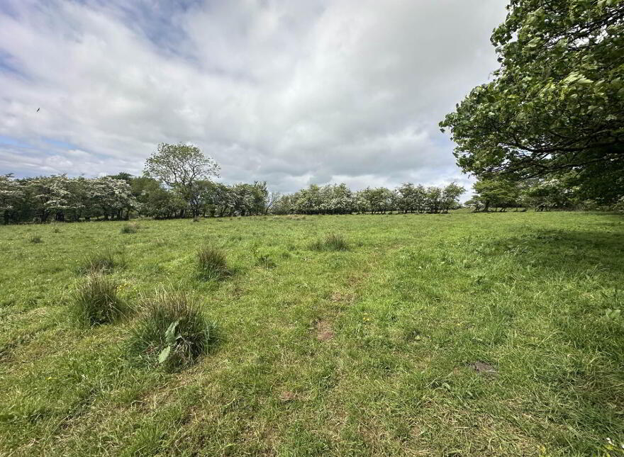 Plot, Of Land North Of Divis Road, Belfast, BT17 0NG