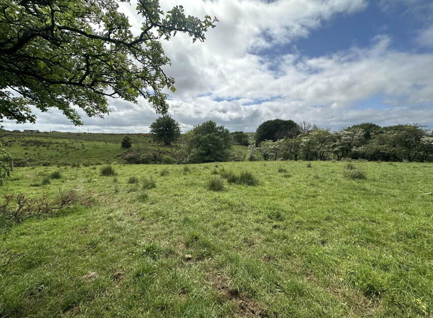 Plot, Of Land North Of Divis Road, Belfast, BT17 0NG