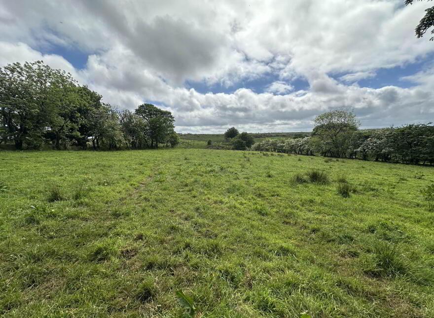 Plot, Of Land North Of Divis Road, Belfast, BT17 0NG