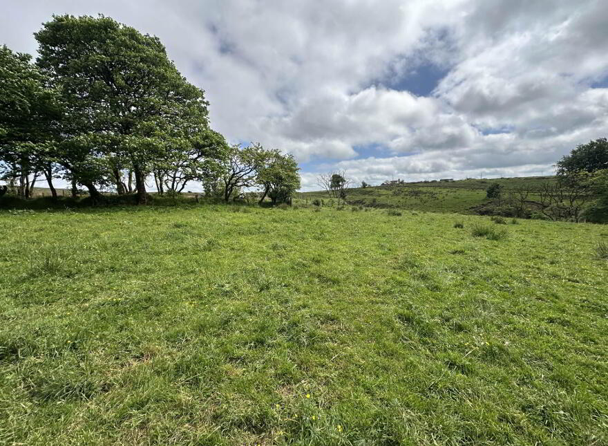 Plot, Of Land North Of Divis Road, Belfast, BT17 0NG