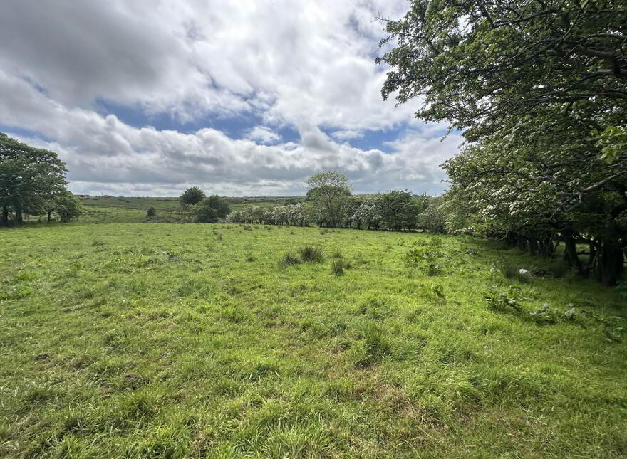 Plot, Of Land North Of Divis Road, Belfast, BT17 0NG