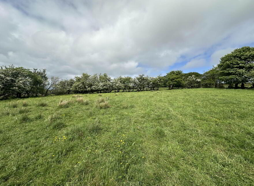 Plot, Of Land North Of Divis Road, Belfast, BT17 0NG