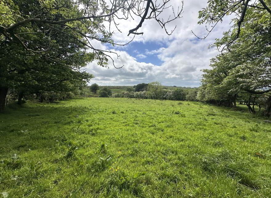 Plot, Of Land North Of Divis Road, Belfast, BT17 0NG