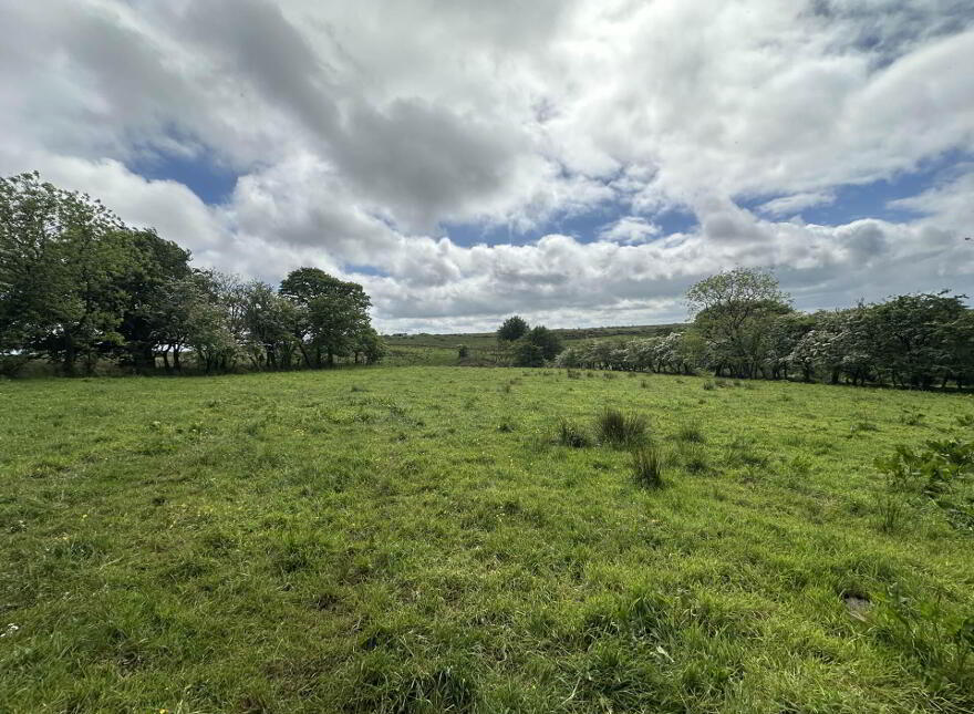 Plot, Of Land North Of Divis Road, Belfast, BT17 0NG