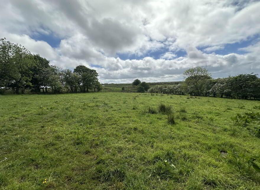 Plot, Of Land North Of Divis Road, Belfast, BT17 0NG