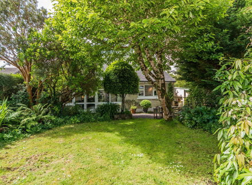 Chapel Lane, Ballydehob, P81C527
