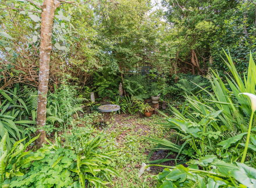 Chapel Lane, Ballydehob, P81C527
