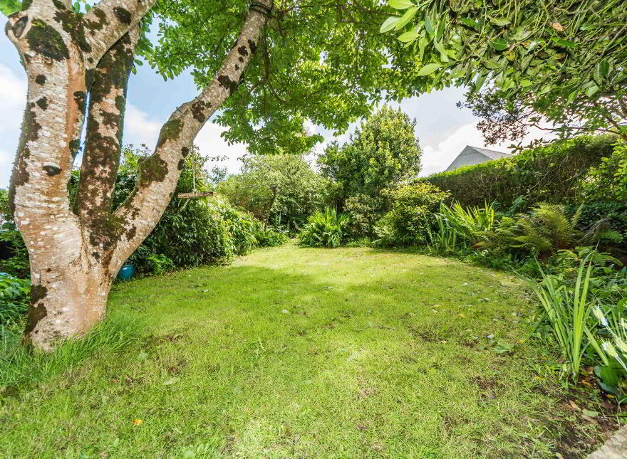 Chapel Lane, Ballydehob, P81C527