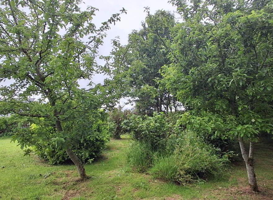 3 Templemoyle, Culdaff, F93HX52