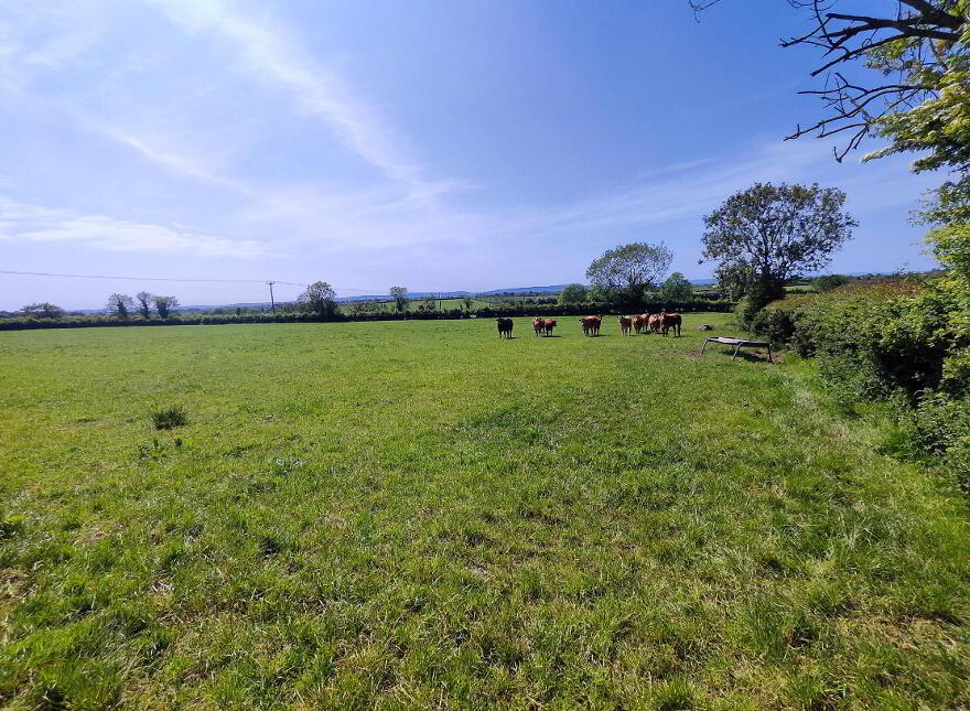 Farm At 73 Newbridge Road, Coleraine, BT52 2LB