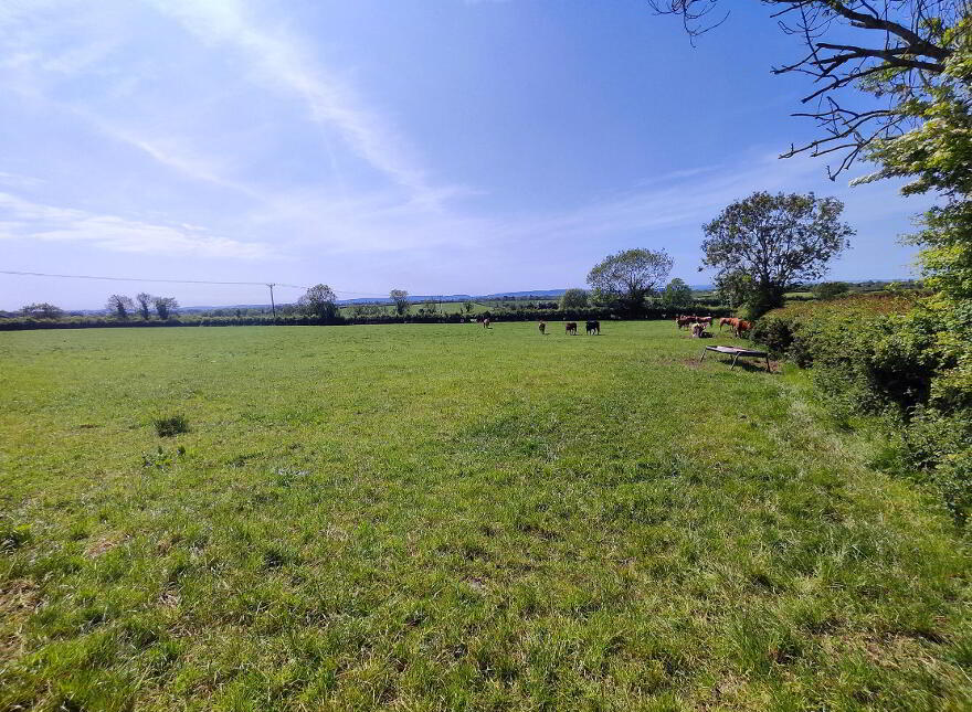 Farm At 73 Newbridge Road, Coleraine, BT52 2LB