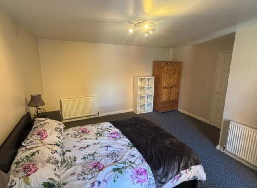 20 Ashley Courtyard, Belfast, BT9 7GS