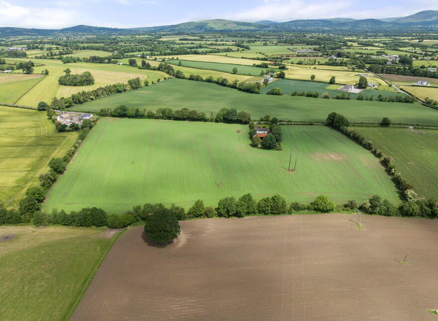 Ricketstown, Rathvilly, R93K351
