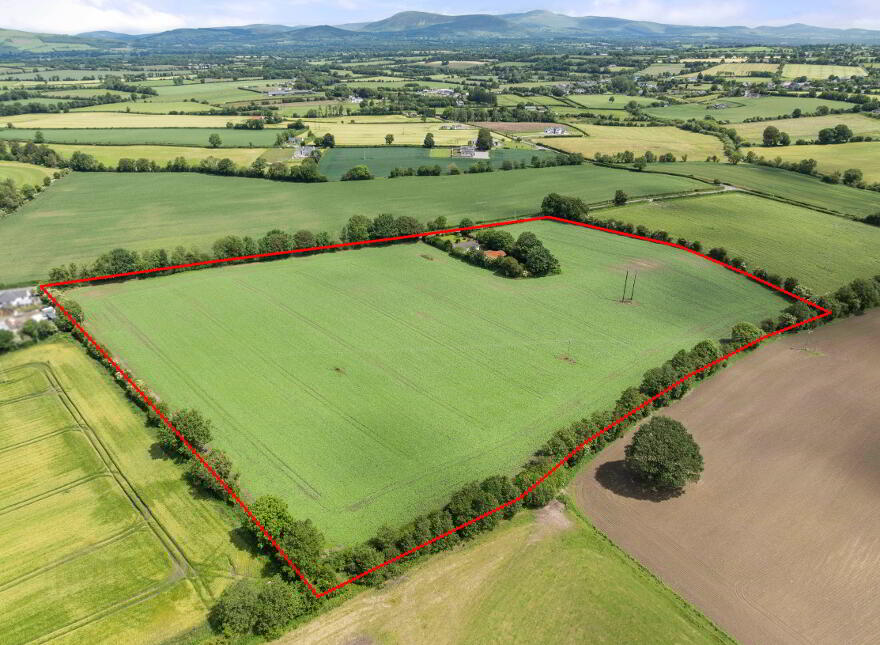 Ricketstown, Rathvilly, R93K351