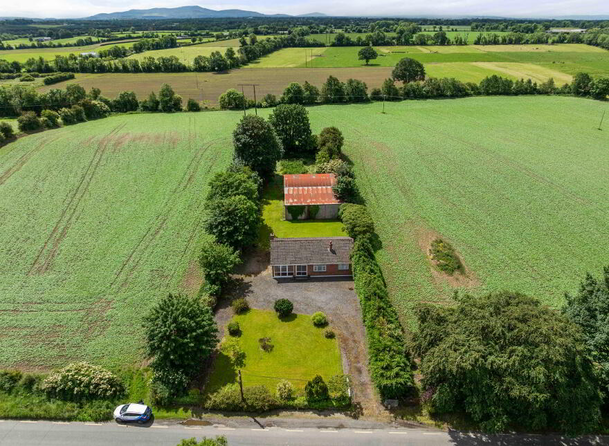 Ricketstown Bough, Rathvilly, R93K351