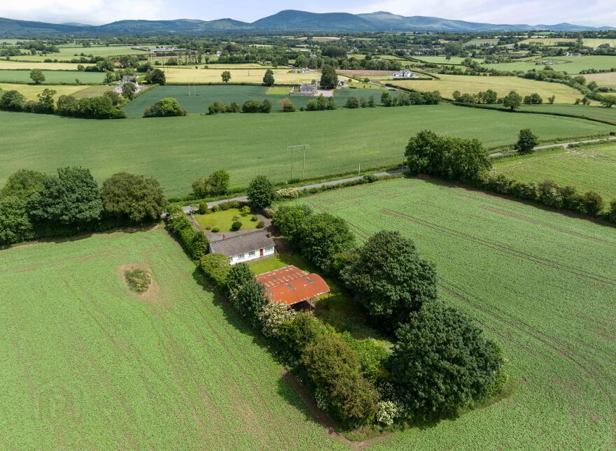 Ricketstown Bough, Rathvilly, R93K351
