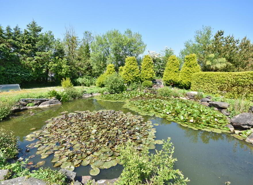 Desmo Cottage, Ballyline, Ballylongford, V31KW25