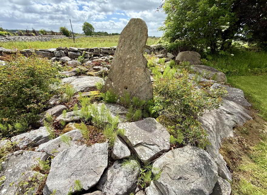 Quinaltagh, Garrafrauns, Tuam, H54WD62