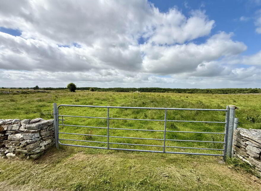 Quinaltagh, Garrafrauns, Tuam, H54WD62