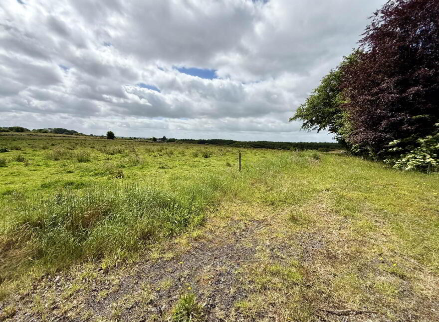 Quinaltagh, Garrafrauns, Tuam, H54WD62