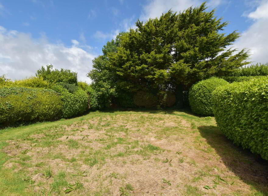 The Hill, Dromasta, Drimoleague, P47H973