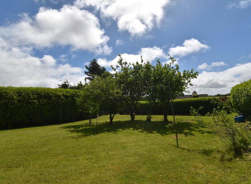 The Hill, Dromasta, Drimoleague, P47H973