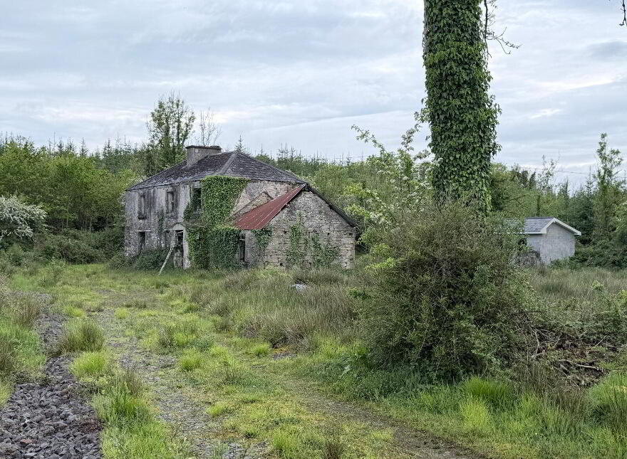 Gornalamph, Next Door Eircode, Mohill, N41YK11