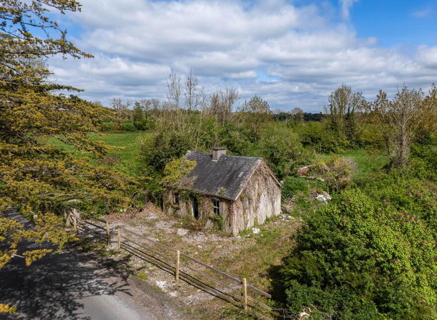 Creevebeg, Mount Temple, N37XN27