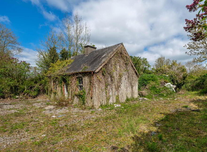 Creevebeg, Mount Temple, N37XN27