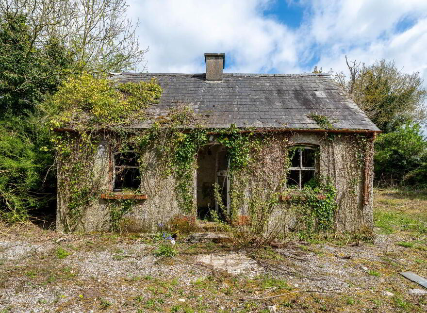 Creevebeg, Mount Temple, N37XN27